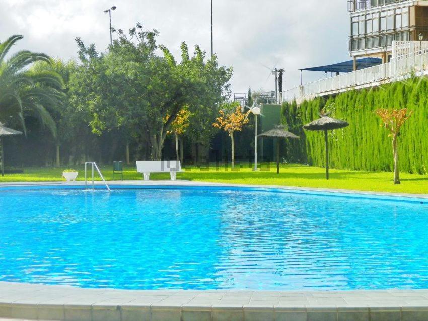 Apartamento En 1ª Linea Con Piscina Alicante Exterior foto